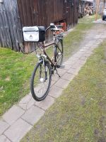 Herren Fahrrad Gr. 28 Niedersachsen - Uetze Vorschau