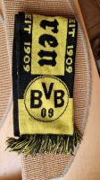 BVB Schal / Hessen - Burgwald Vorschau