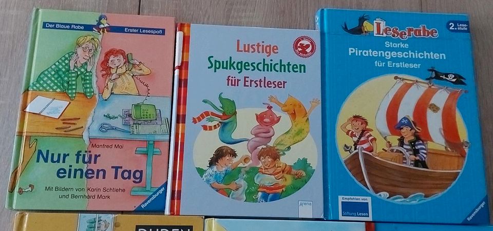 Erstlesebücher, Kinderbücher, Lesenlernen, Buch, Vorlesegeschicht in Flomborn