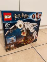 LEGO Harry Potter 75979 Hedwig Eule top Zustand m. OVP Bayern - Miesbach Vorschau