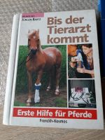 PferdeSachbücher,Reiterwissen Schleswig-Holstein - Hohenlockstedt Vorschau