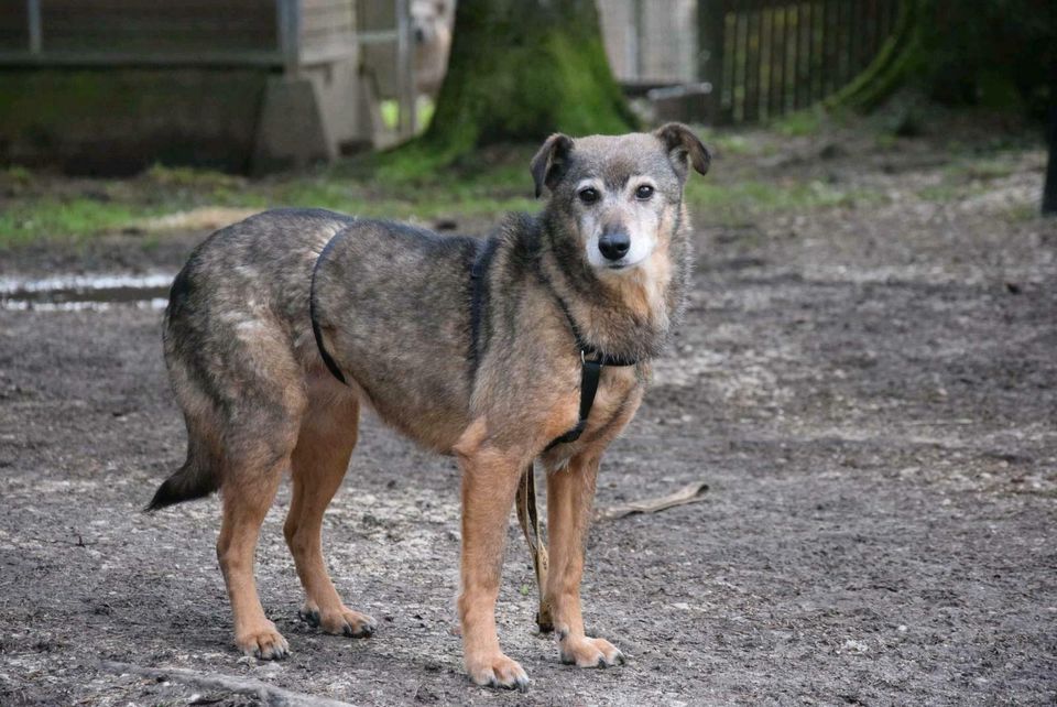 Esti sucht ihre Menschen in Rennertshofen