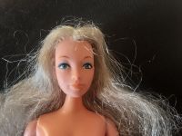 Petra Plasty Airfix // Donna Sommerwind // Barbie Clone Hessen - Idstein Vorschau