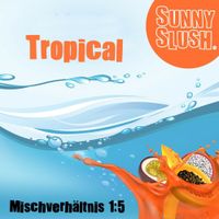 Slush Eis Sirup Konzentrat Tropical 5 Liter SunnySlush Nordrhein-Westfalen - Steinfurt Vorschau