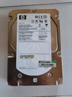 HP SAS Festplatte 600GB 3,5" Schleswig-Holstein - Medelby Vorschau