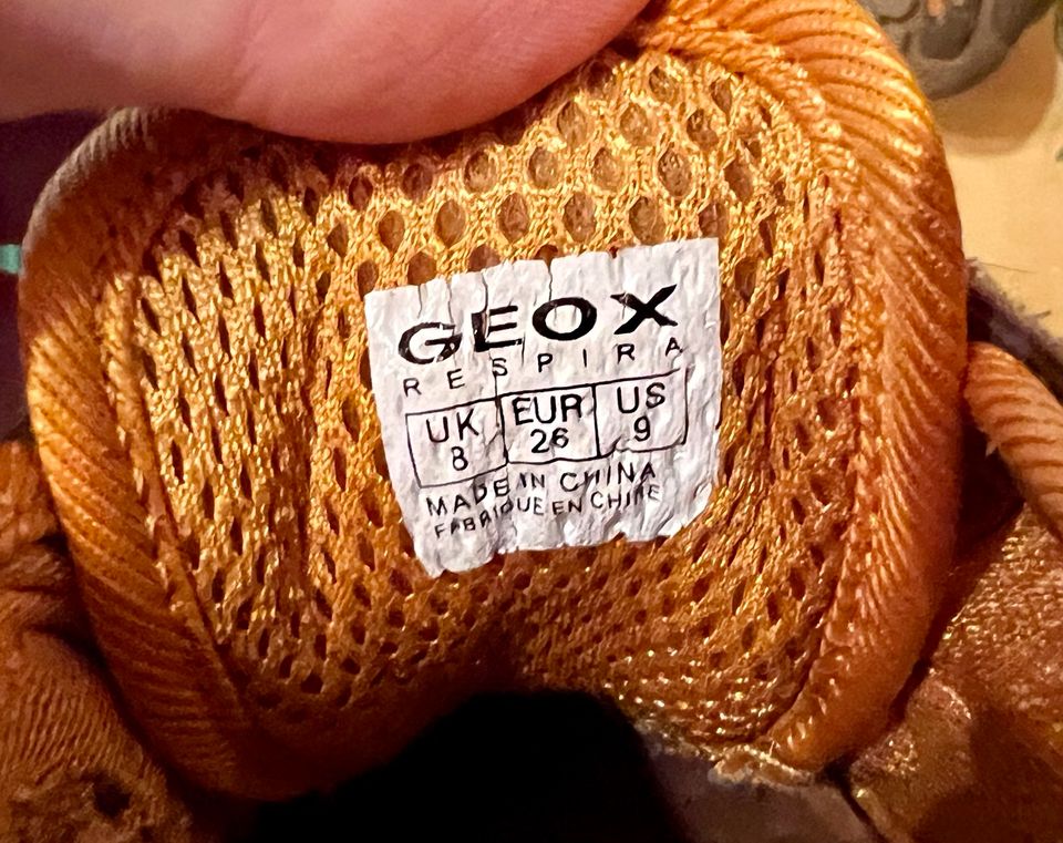 Geox Sneaker Gr. 26 in Düsseldorf