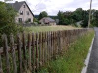 Gras/ Grünfutter/  Gras für Heu zum Selber  mähen Sachsen - Triebel Vorschau