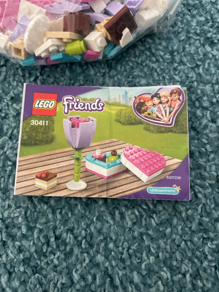 Lego Friends 30411 in Wildeshausen