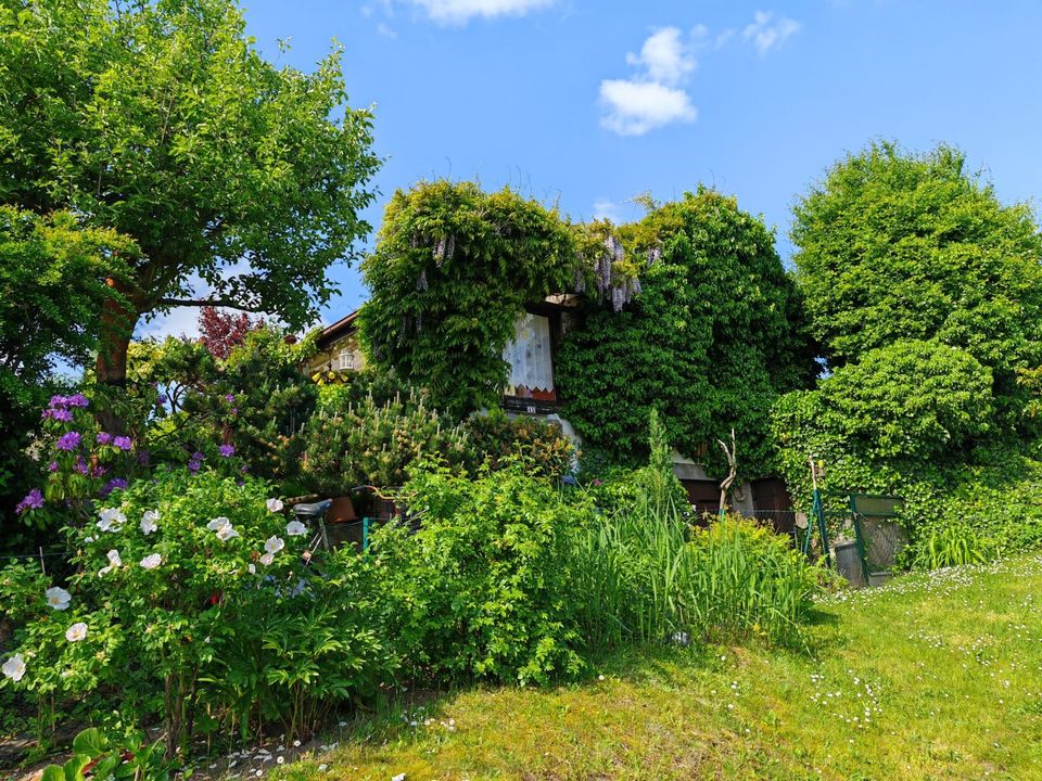 Der Sommer steht vor der Tür! Top-Gartenhaus mit Garten auf gesichertem Pachtland! in Eisenhüttenstadt