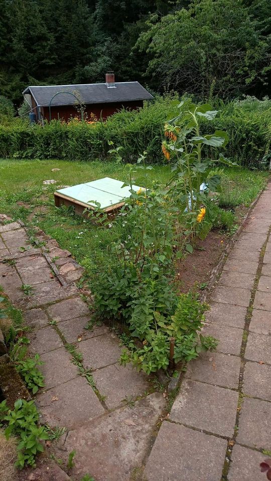 Garten in Rabenau/ Kleingarten/ Pachtgarten in Freital