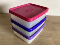 3x Tupperware Gefrierbehälter mini 170 ml Hessen - Künzell Vorschau