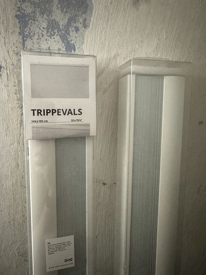 Trippevals Plisse verdunkelnd in Detmold