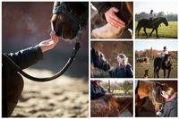 Horsemanship Unterricht Nordrhein-Westfalen - Datteln Vorschau