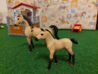 Schleich Set Stute mit Fohlen Nordrhein-Westfalen - Höxter Vorschau