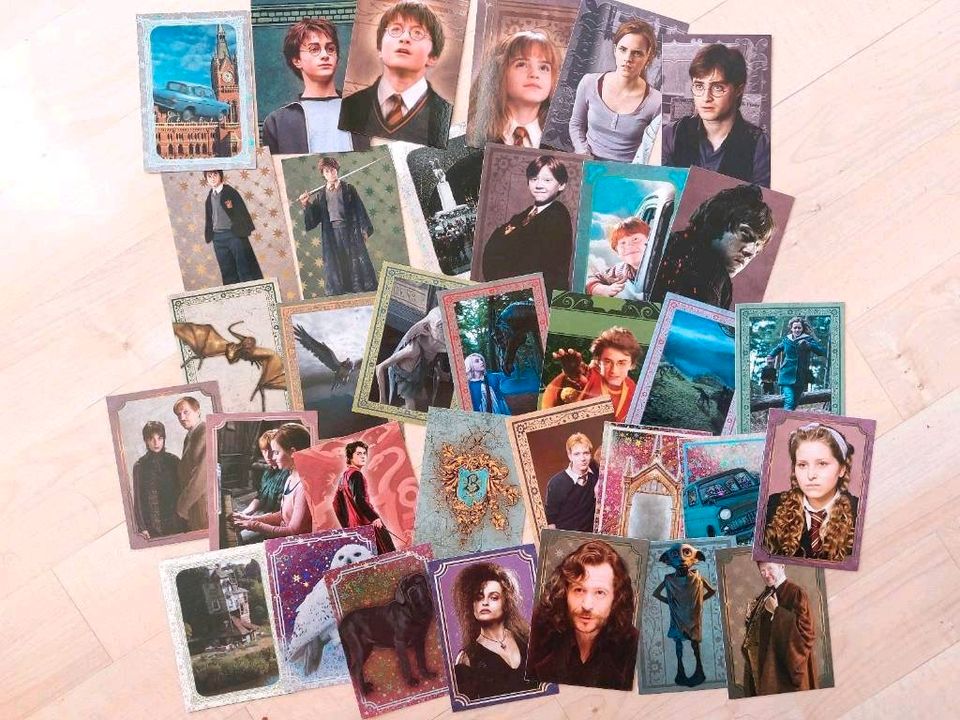 Harry Potter Evolution Panini Trading Cards in Nürtingen