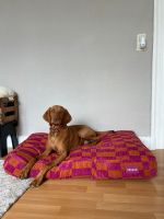 Dogguo Hundebett Hundekissen 105x65 Hessen - Butzbach Vorschau