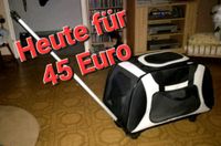 Hunde Trolley NUR HEUTE 45 EURO Bayern - Kleinostheim Vorschau