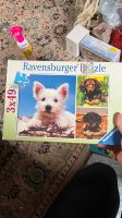 Ravensburger Puzzle kleine Hunde Niedersachsen - Braunschweig Vorschau