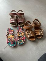 Sandalen primigi havaianas Elefanten Hessen - Münster Vorschau