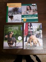 Hundeerziehung Bücher Dresden - Dresden-Plauen Vorschau