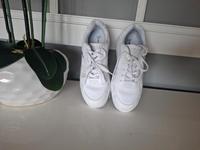 Turnschuhe  Größe  36 UK 5 5 Lacoste Hessen - Reinheim Vorschau