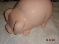 Sparschwein mit Geld Kreis Pinneberg - Tornesch Vorschau