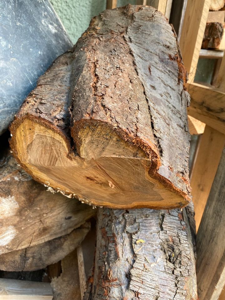 Holz/ Drechseln Pflaumen Holtz Prunus domestica in Laußnitz