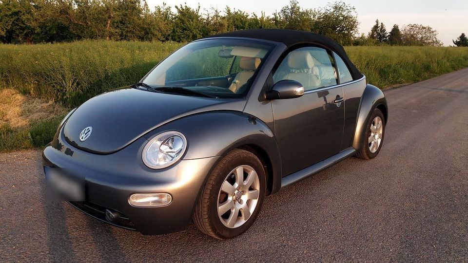Volkswagen Beetle in Durmersheim