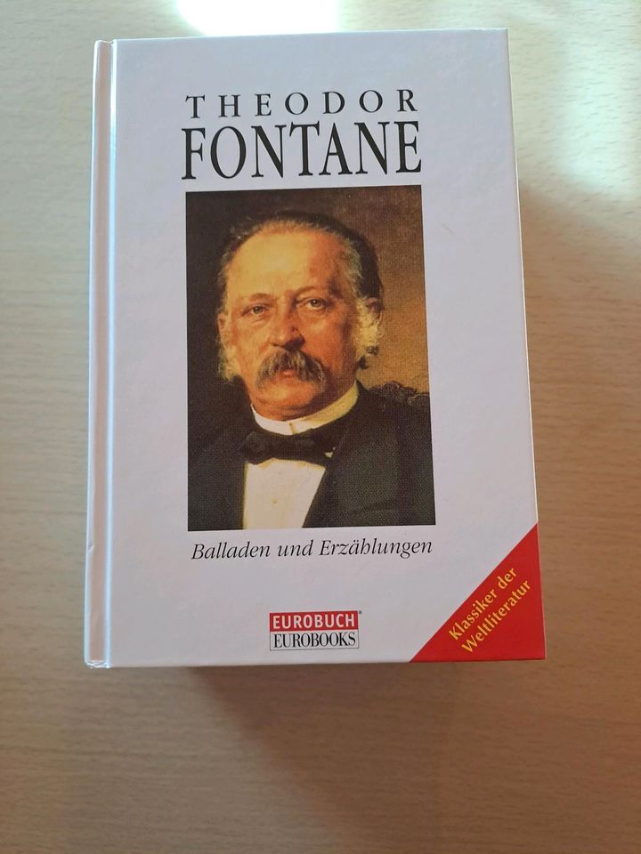 Theodor Fontane Balladen und Erzählungen in Aglasterhausen