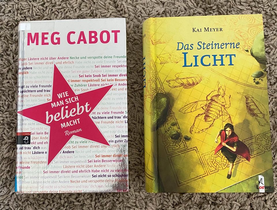 Jugendbuch, Buch, Tote Mädchen lügen nicht, Shadowhunters in Henstedt-Ulzburg