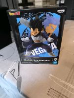 Dragonball Z Actionfigur Vegeta Nordrhein-Westfalen - Horn-Bad Meinberg Vorschau