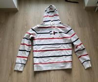 Tommy Hilfiger Sweat M Sachsen-Anhalt - Kelbra (Kyffhäuser) Kelbra Vorschau