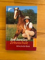 Buch „Bea Borelles Zirkusschule“ Bayern - Klingenberg am Main Vorschau
