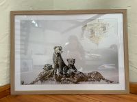 Banksy Bild Druck Leopard Gepard mit Holzbilderrahmen Nordrhein-Westfalen - Herdecke Vorschau