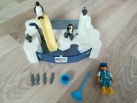 Playmobil 9062 - Pinguin Becken Rheinland-Pfalz - Haßloch Vorschau