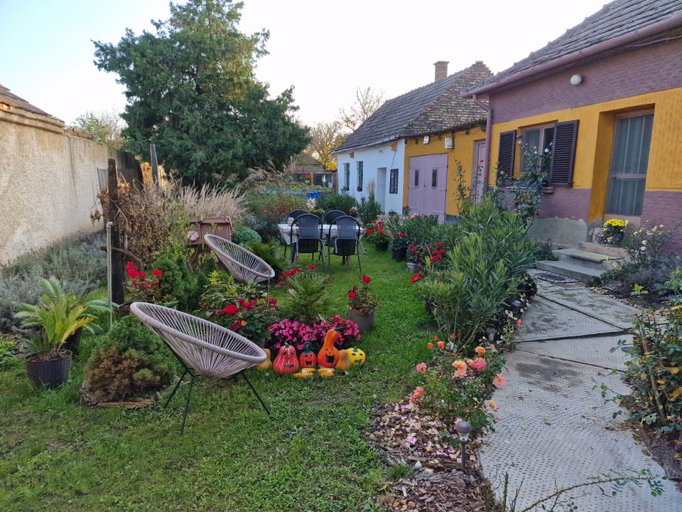 Dorfhaus in ruhiger Lage mit sehr großem Grundstück in Dresden