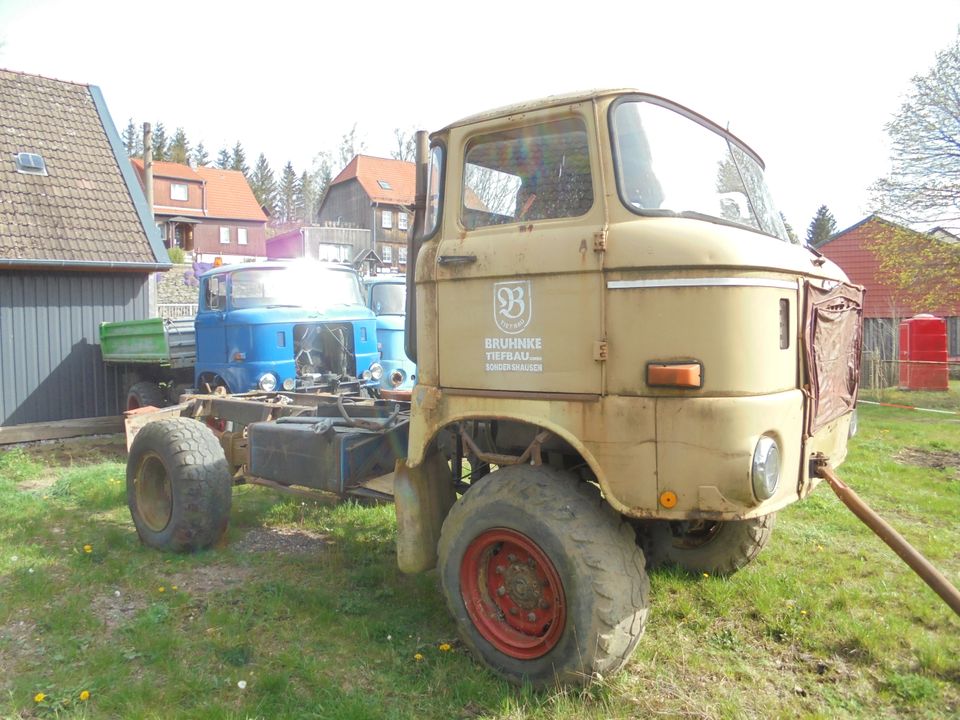 Ifa W40,Ballon,Kipper,4X4 in Tanne