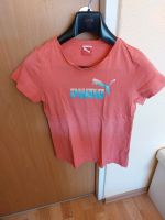 Tshirt Gr.152 Brandenburg - Frankfurt (Oder) Vorschau