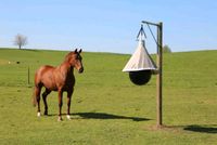 Frühjahrsaktion! Bremsenfalle, Fliegenfalle, Insektenfalle 3 Größ Bayern - Engelsberg Vorschau