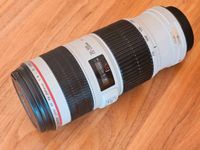 Canon Zoom Lens EF 70-200mm 1:4 L IS USM plus Polfilter Niedersachsen - Hameln Vorschau