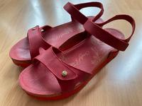 Schuhe Sandalen von Panama Jack Gr.40 rot Kr. Altötting - Burghausen Vorschau