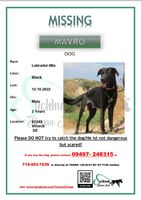 Hund vermisst-MAVRO Bayern - Vilseck Vorschau