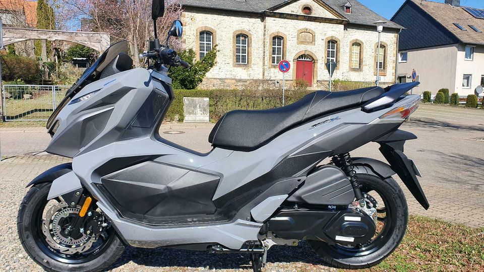 Sym JET-X 125☆ Neumodell 2024☆ Euro5☆ABS☆125ccm☆ /B&M in Goslar