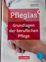 Pflegias 1 Pflegebuch Rheinland-Pfalz - Buborn Vorschau