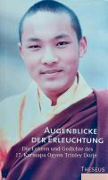 Karmapa Ogyen Trinley Dorje "Augenblicke der Erleuchtung" Hannover - Vahrenwald-List Vorschau