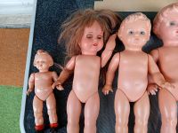 Puppen Schildkröt 4 Stück 2.Andere Rheinland-Pfalz - Wörth am Rhein Vorschau
