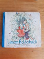 Antiquarisches Kinderbuch Unterm Holderbusch Frankfurt am Main - Rödelheim Vorschau
