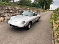 Alfa Romeo Spider 1600 Fastback Cabrio Baden-Württemberg - Magstadt Vorschau