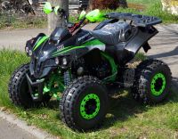 Quad XTL Avenger 125 cc Baden-Württemberg - Steinheim an der Murr Vorschau