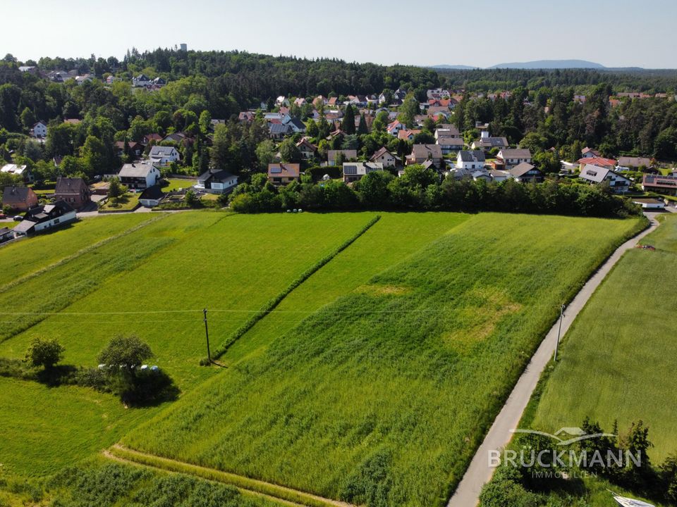 Schönes Baugrundstück (Nr. 759, 508 m²) im Neubaugebiet "Am Ringelsberg" Hertlingshausen! in Carlsberg